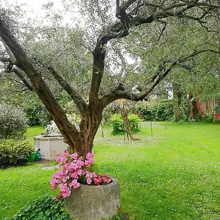 Palazzetto Scodellari بيت للعطل *