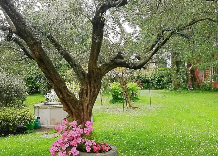 Palazzetto Scodellari Nyaraló *